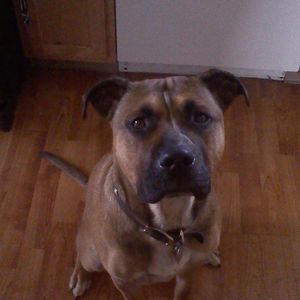 Meet your Posher, Brittany